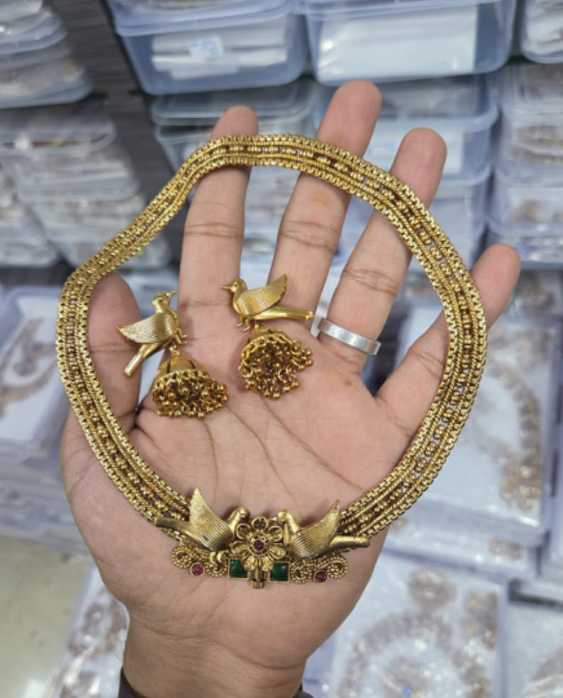 Bird screw Hasli