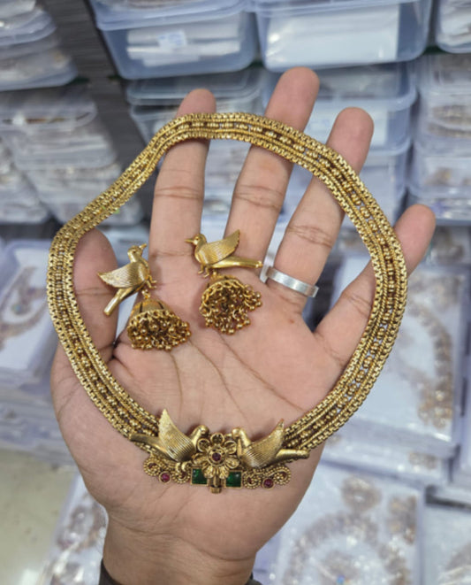 Bird screw Hasli